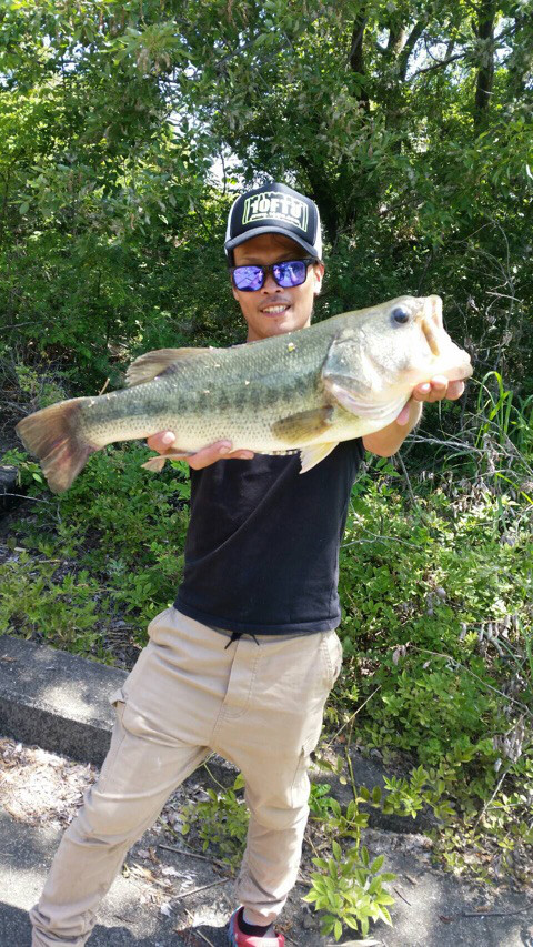 o0480085313954752918