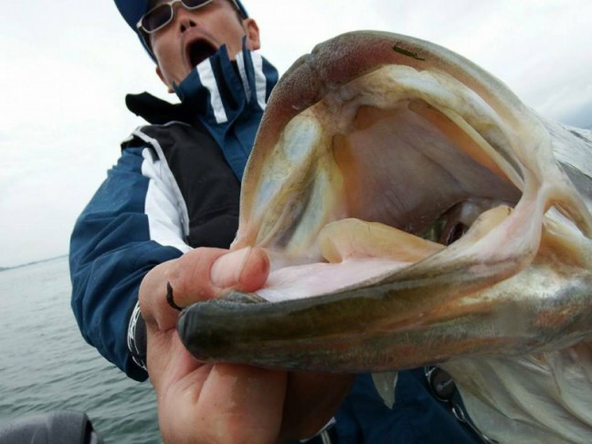 o0960072013955964333