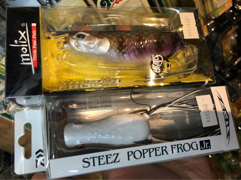 o0480036013979432620