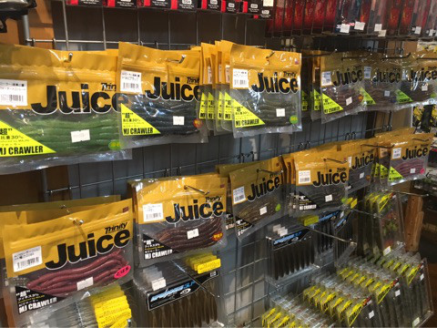 o0480036013980300431