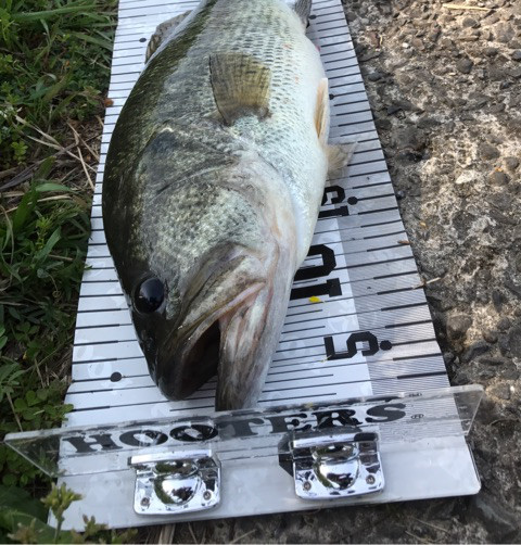 o0480050213973638084