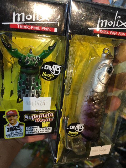 o0480064113979432609