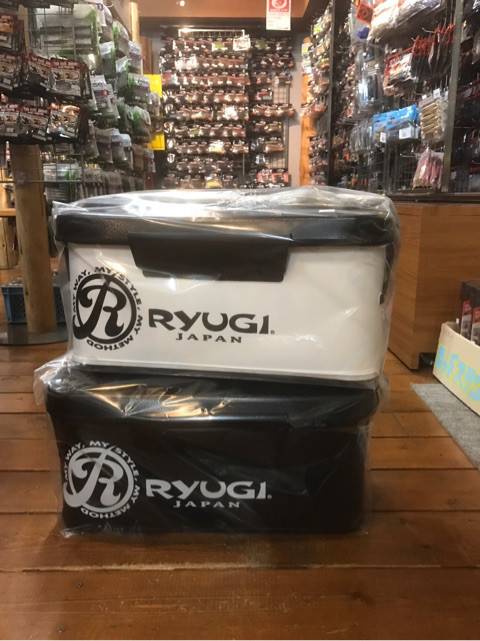 o0480064113981338519