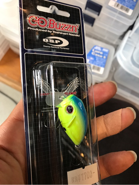 o0480064113984207946