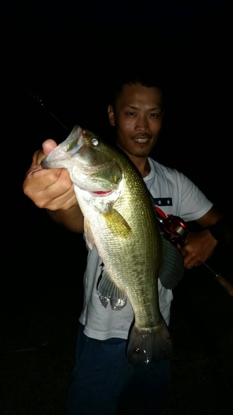 o0480085313980936949