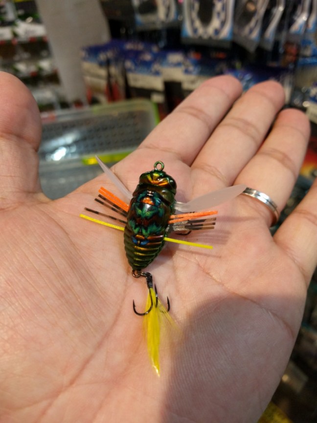 o0720096013979935740