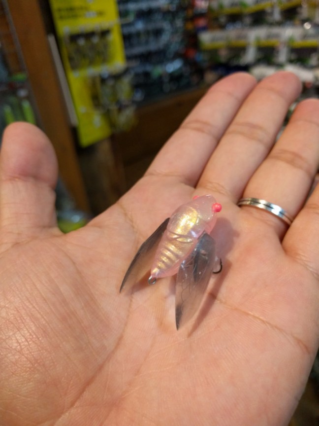 o0720096013979935745