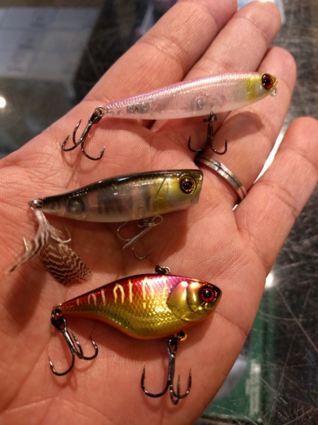 o0720096013990357979