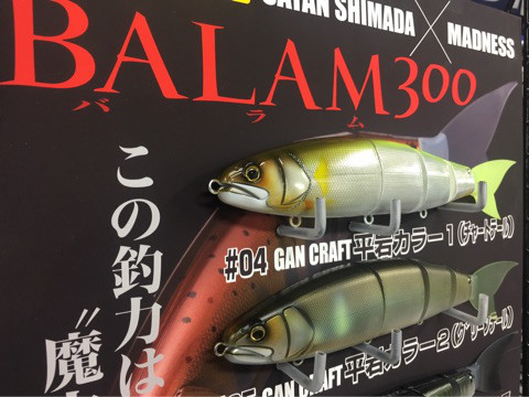 o0480036014016430629