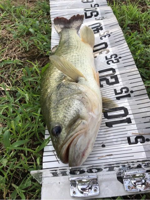 o0480064114013473133