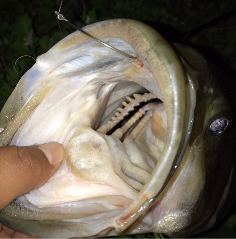 o0540096014012134885