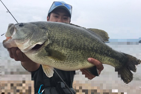 o0480032014036448894