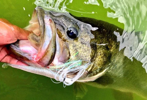 o0480032814026302565