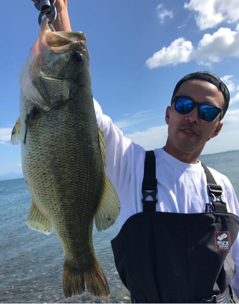 o0480061014033658209