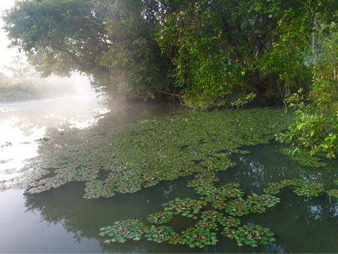 o0480036014039957126