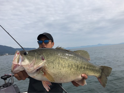 o0480036014042073301