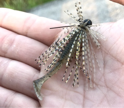 o0480041914037951351