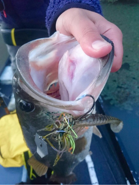 o0480064114039957115