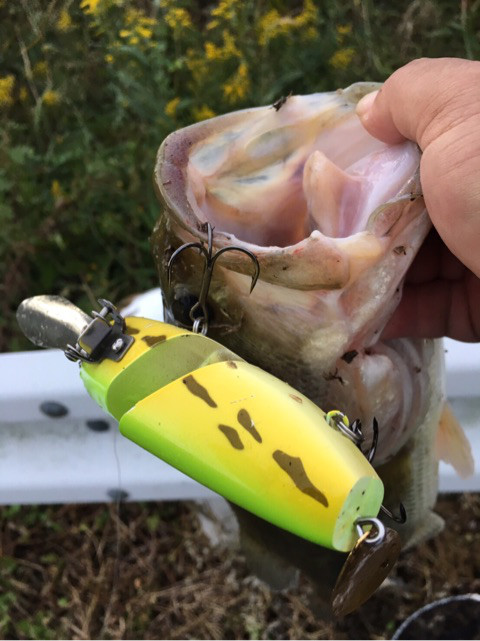 o0480064114047995459