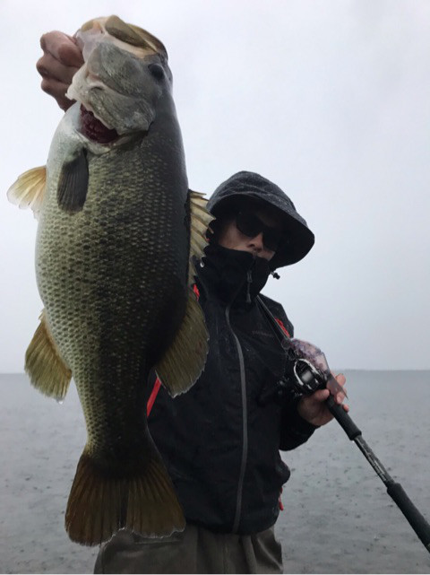 o0480064114054123977