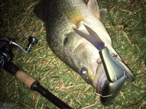 o0480036014063825879