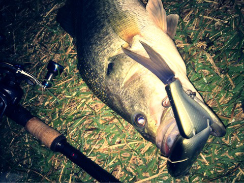 o0480036014064700921