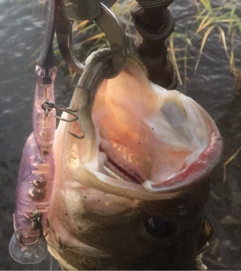 o0480054014077840112