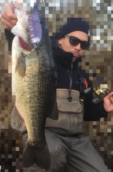 o0480073114077842890