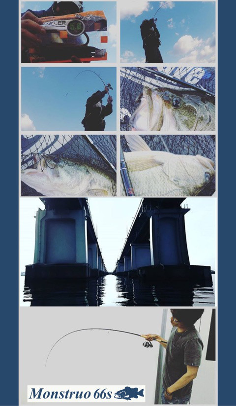 o0480082314066052089