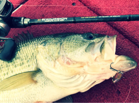 o0480035714094213219