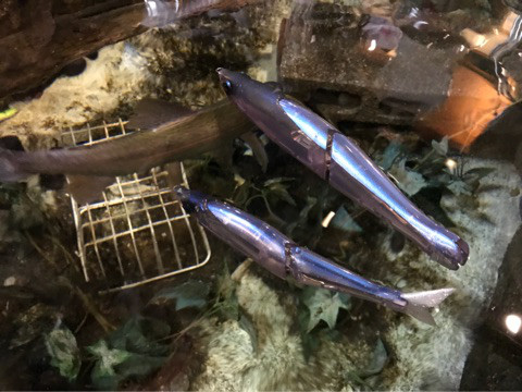 o0480036014087030285