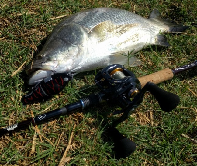 o0647054814092010244