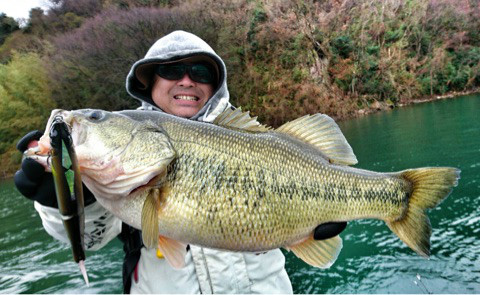 o0480029514105880851