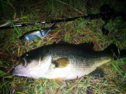 o0480036014109834386