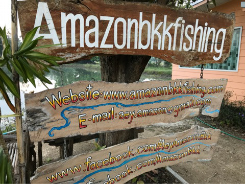 o0480036014112876512