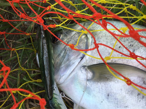 o0480036014113769254