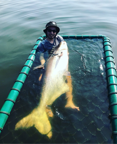 o0480059114112960481