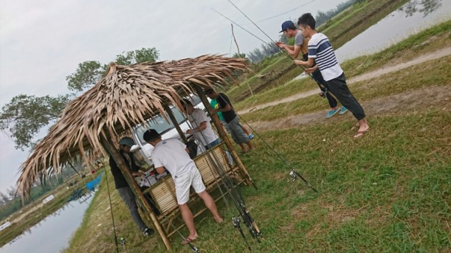 o0960054014113520451