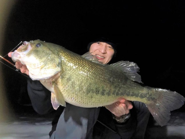 o2098157614132909086