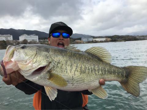 o0480036014156719263