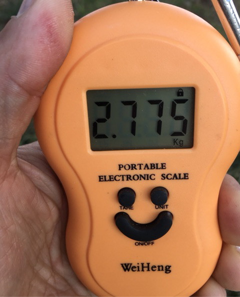 o0480059414143613159