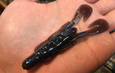 o0480030714176119256