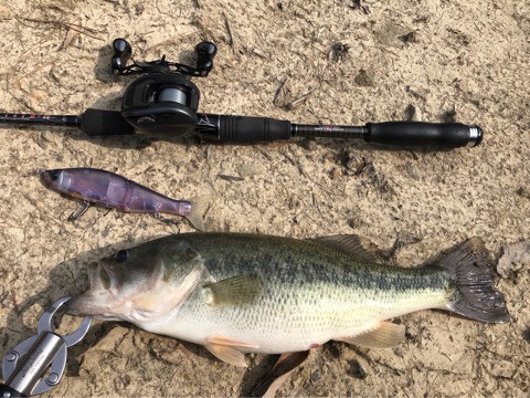 o0480036014162355232