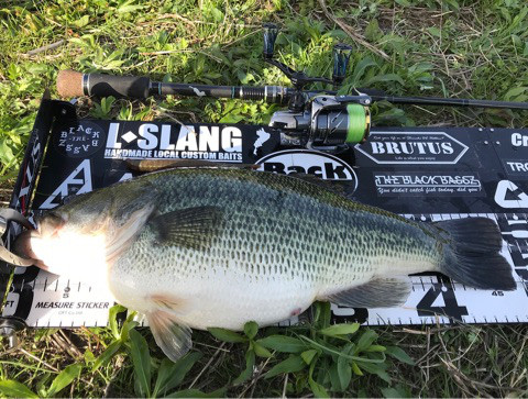 Field report / BackLash Staff Hashimoto – Lure&Boat BackLash Japan