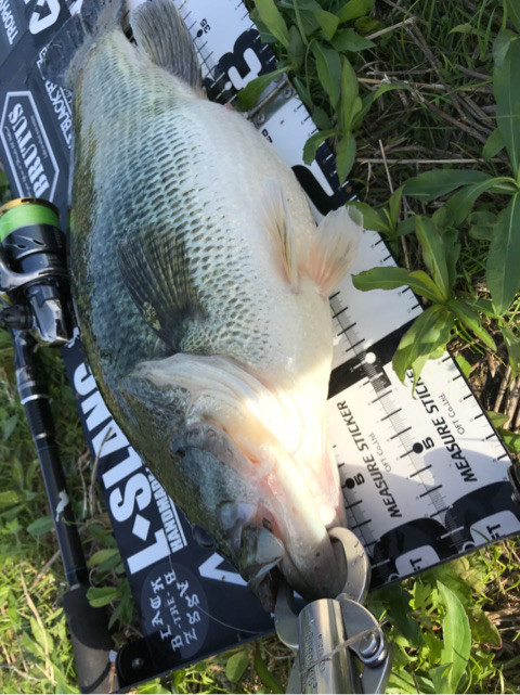 o0480064114169965797