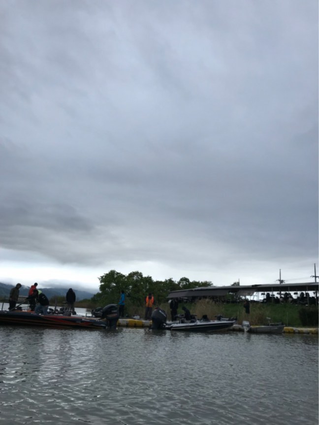 o0810108014177352977