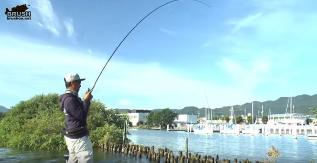 o0852044014176917641