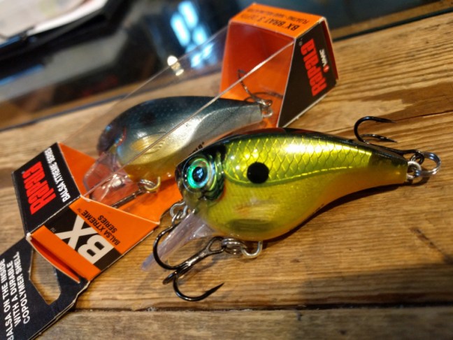 o1080081014173449315