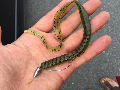 o0480036014184460693