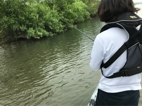 o0480036014192927295